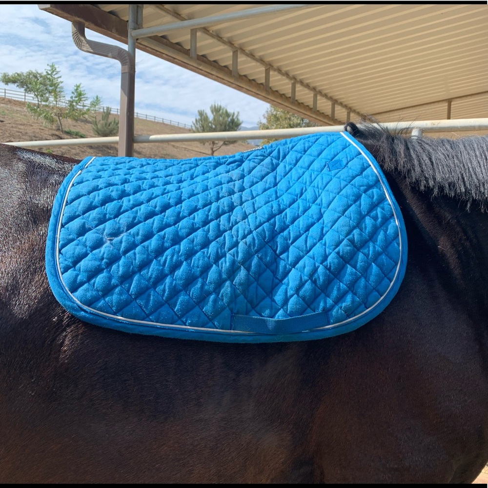 Dover saddle pad